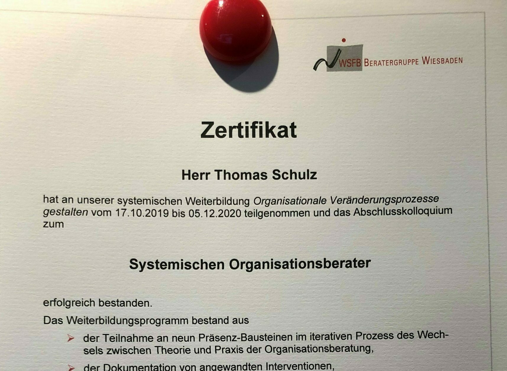 Systemischer Organisationsberater Lebensmittel Interim Manager