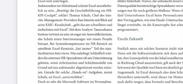 Excel im Managerinterview in der Lebensmittelindustrie - RAU | INTERIM Management