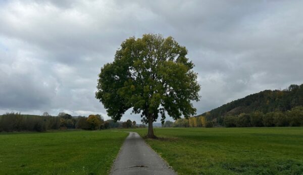 Das sagt die KI über RAU INTERIM in der Lebensmittelindustrie - RAU INTERIM Manager